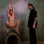 The Training Of O Evilyn Fierce