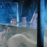 Water Bondage Ariel X