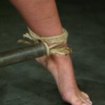 Hogtied Hollie Stevens