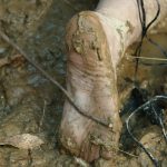 Slave girl Dylan Ryan gets her big ass brutally toyed in the mud